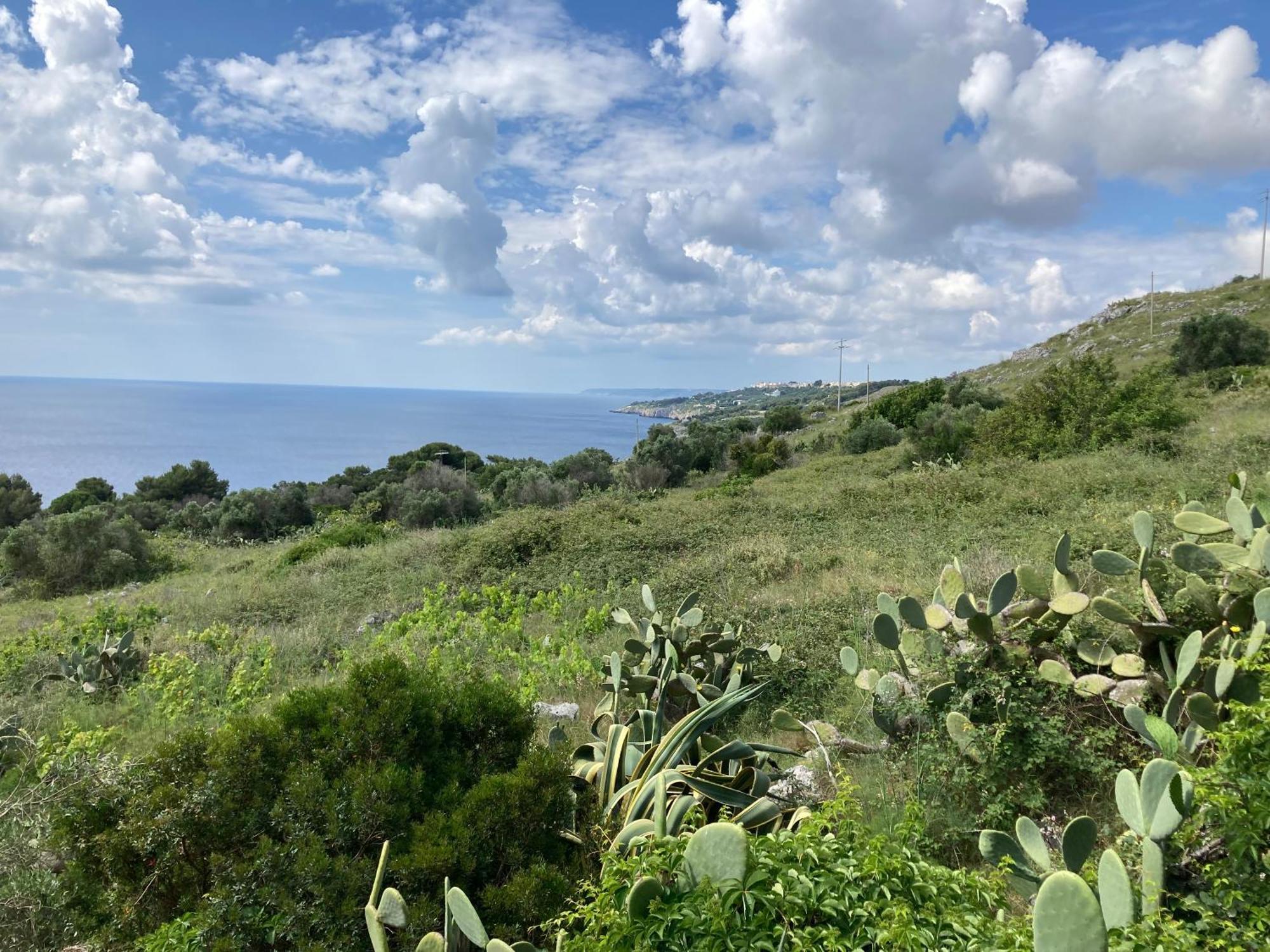 La Scogliera - Maeva Vacansoleil Campsite